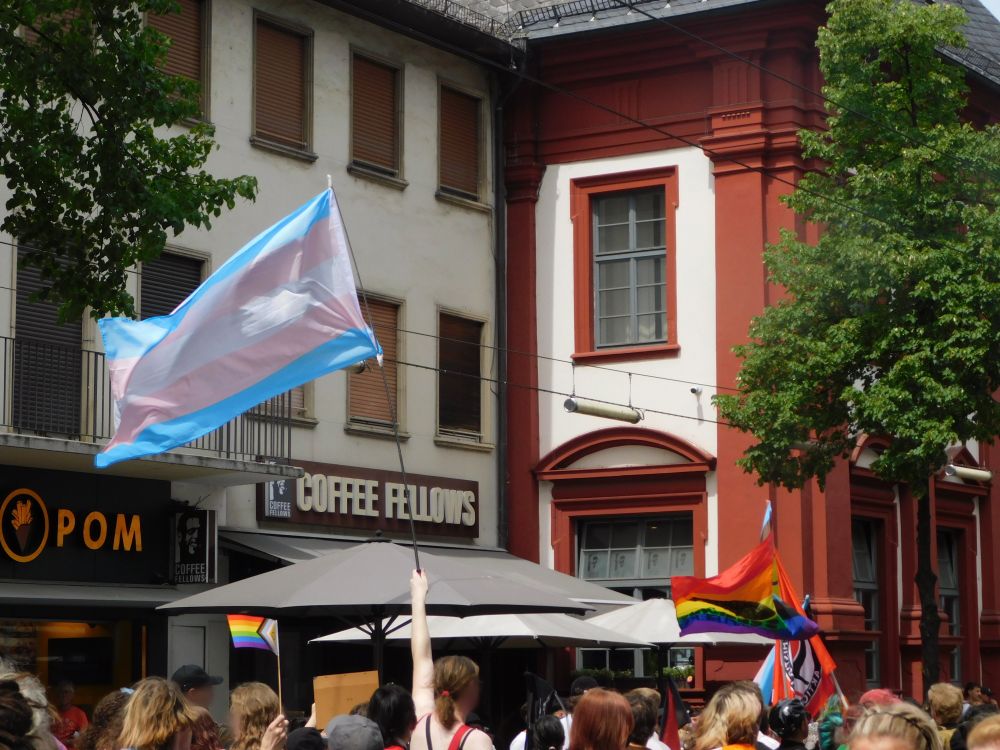 Eine Gruppe an Demonstrierenden, mittig hält eine Person eine trans Flagge hoch.
