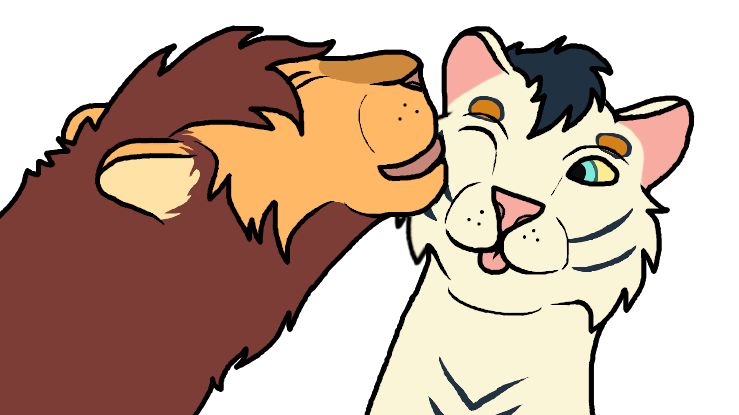 Orange lion with a red mane licking the cheek of a white tiger with navy blue stripes and head tuft