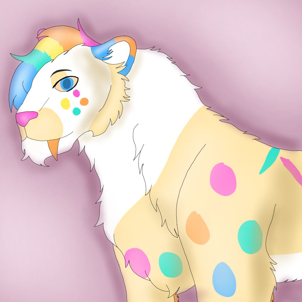A white and cream saber with birthday cake rainbow sprinkle markings, half body and looking into the camera.