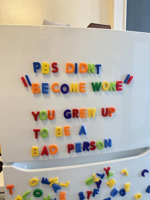 PBS DIDNT BECOME WOKE
YOU GREW UP TO BE A BAD PERSON
ESTF