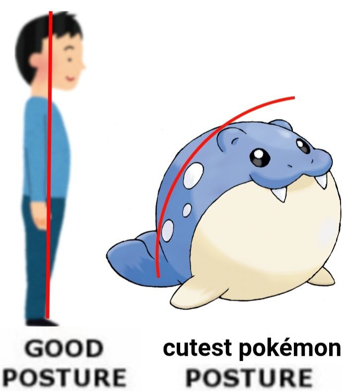 Posture diagram
Left: good posture, man standing straight
Right: cutest pokemon posture, spheal is a round pokemon so does not have a straight back