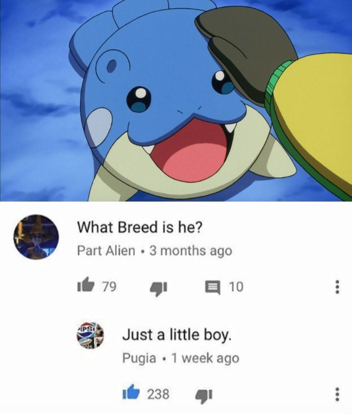 A picture of the pokemon spheal looking happy. Underneath is a YouTube comment section.
"What Breed is he?"
"Just a little boy."
Meme
