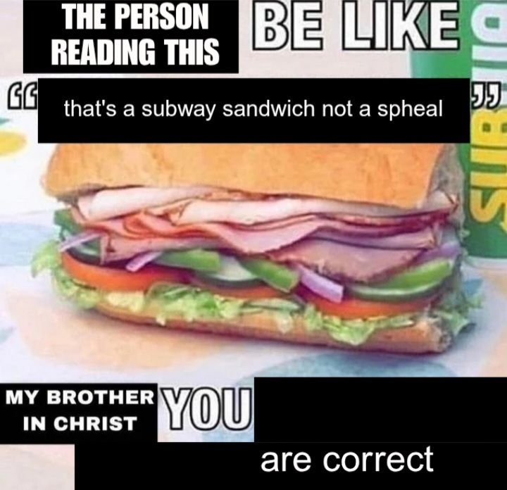 A recaptioned meme about subway sandwiches
"The person reading this be like "that's a subway sandwich not a spheal". My brother in christ you are correct"