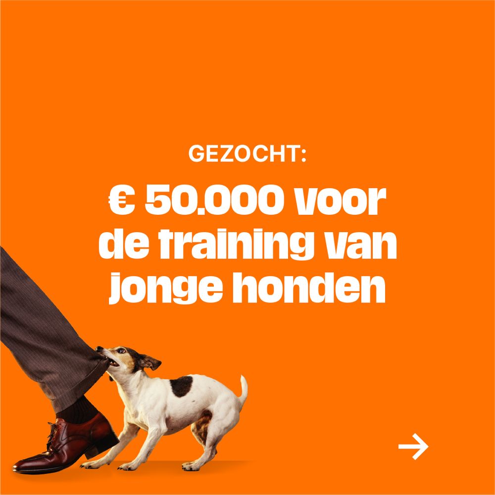 GEZOCHT:
€ 50.000 voor de training van jonge honden