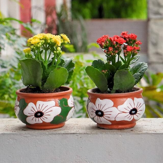 Joninhas – Par de Vaso