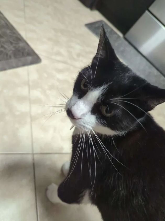 Leia still looks at the viewer, this time the camera is closer.