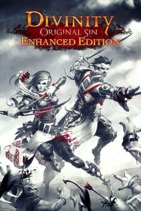 Cover for video game Divinity Original Sin