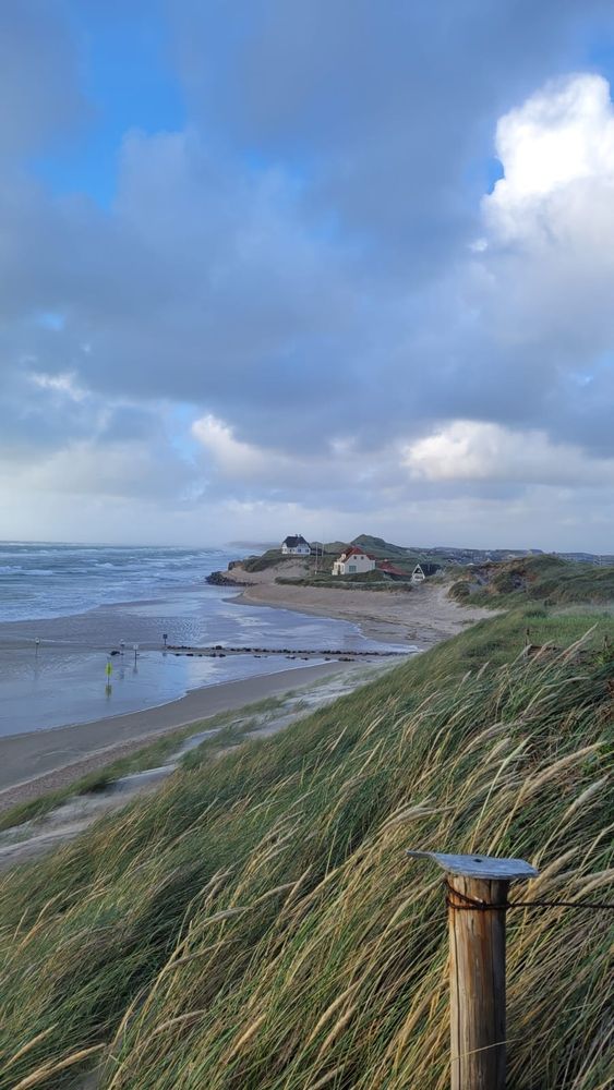 Eine Landzunge, die ins Meer ragt - Seegras das sich im Wind wiegt - ein Himmel mit Bewölkung - der sich in vielen Farben zeigt (Blaugrauweiss )