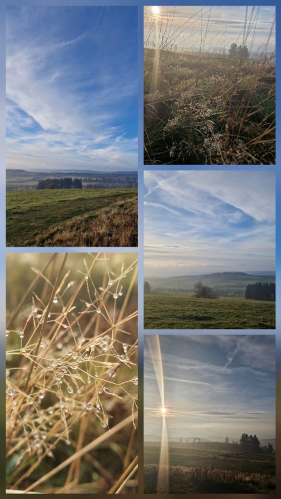 ​Die meisten Bilder zeigen sanfte, grüne Hügel oder Felder und im Hintergrund Waldgebiete unter einem blauen Himmel mit weißen Zirruswolken.

​Zwei der Aufnahmen fangen die Sonne ein, die durch die Gräser scheint und starke Lichtstrahlen erzeugt.

​Ein Nahaufnahme-Foto in der unteren linken Ecke zeigt Tautropfen oder Wassertropfen auf trockenen Gräsern oder Samenständen, was auf Feuchtigkeit oder Morgentau hinweist.

​Die Gesamtstimmung ist friedlich, hell und naturverbunden