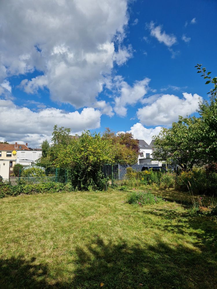 Ein Schrebergarten - darüber blau-weisser Himmel 