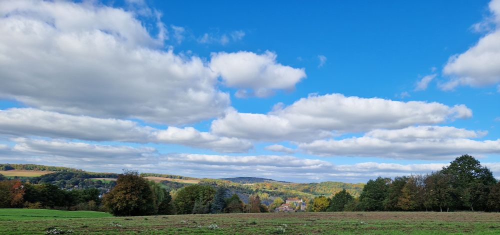 Ein blauer Wölkchenhimmel über dem Herbstwald. 