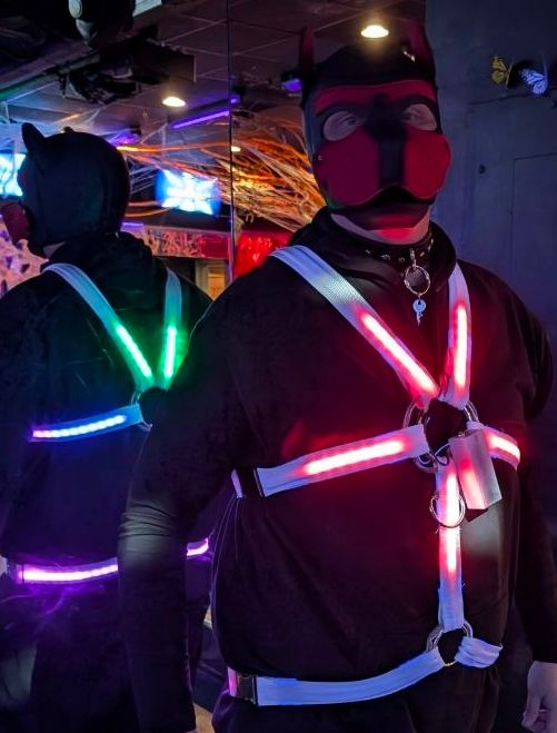 'Standard' 5-Point Style Harness
Zetta wearing pup gear in front of a mirror with harness lit in FFT mode