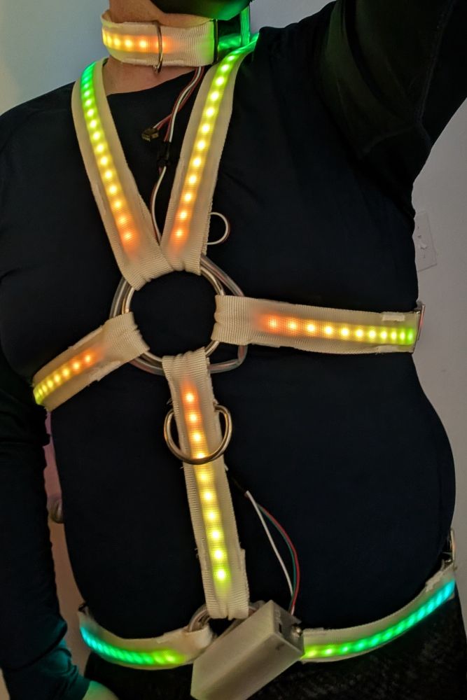 Standard style harness with collar in Rainbow mode 