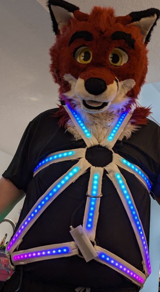 A fox (Zetta) showing off the 7-point design. 
Leg straps not connected here to show the base design. 
7-point meaning there's 7 straps that meet at the chest. 
<3