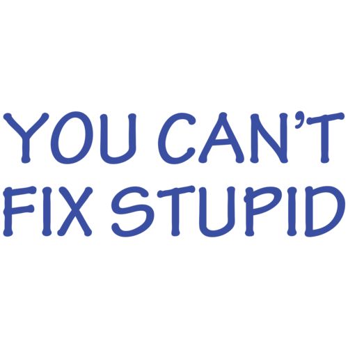 A random image from the ChatBot