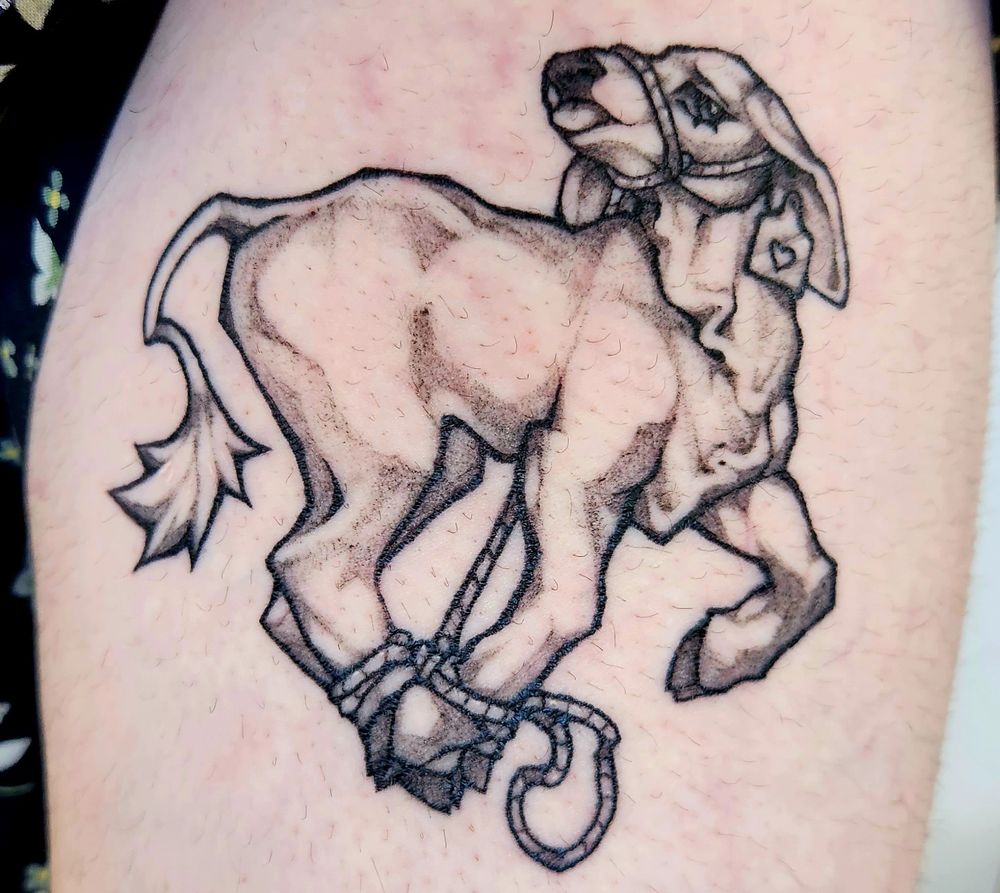 a photograph of black ink tattoo of a brahmin cow calf tied up in bondage, the rope around her muzzle connected to a tie binding together three of her legs. she sticks her tongue out at the viewer with a playful and vulnerable expression.