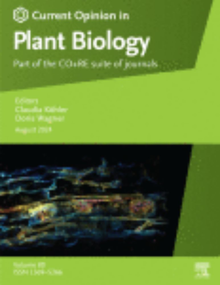 Small size, big impact: Small molecules in plant systemic immune signaling