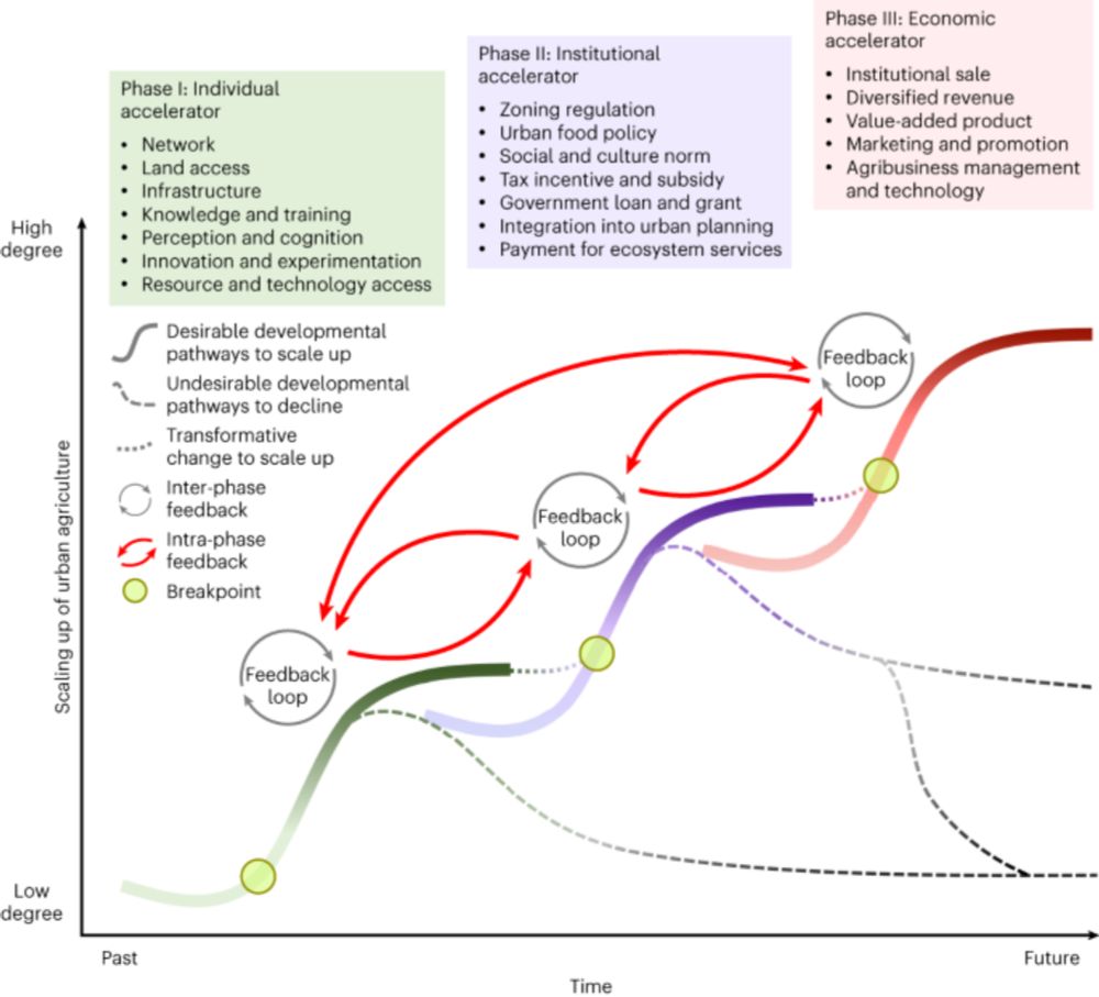 A three-phase developmental pathway for scaling up urban agriculture - Nature Food