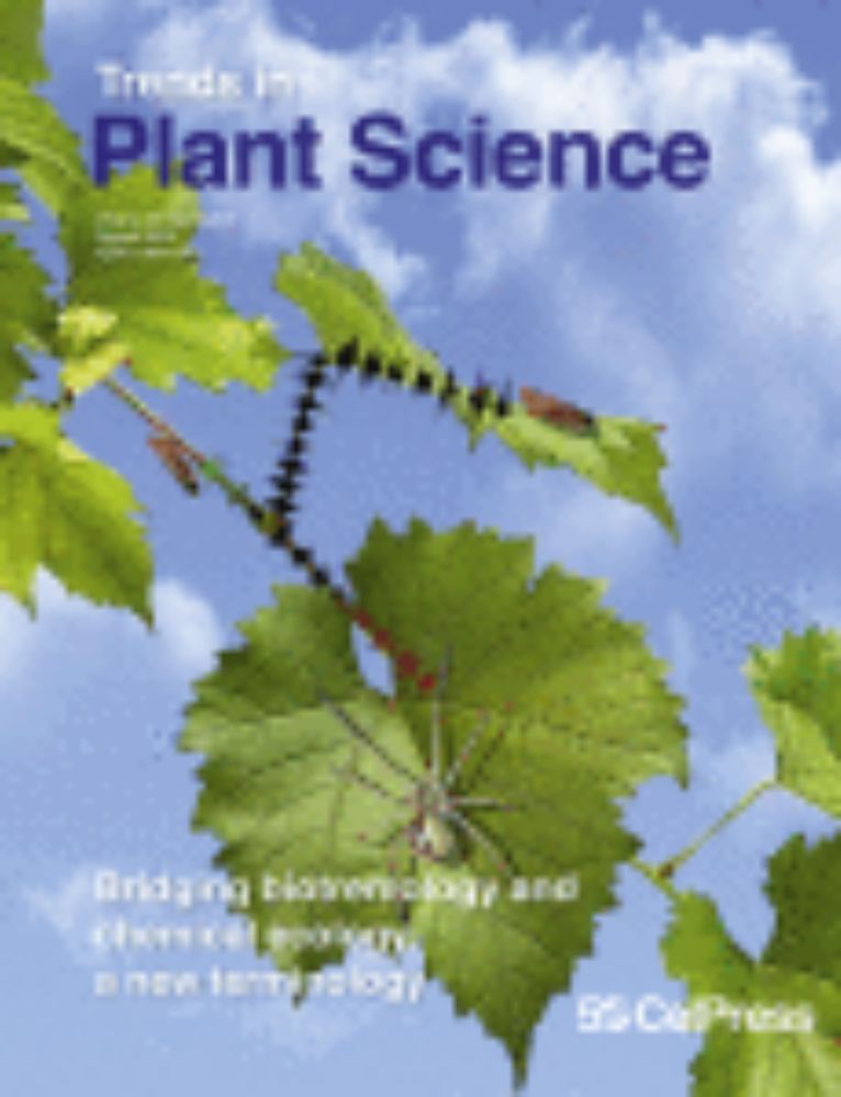 Molecular concepts to explain heterosis in crops