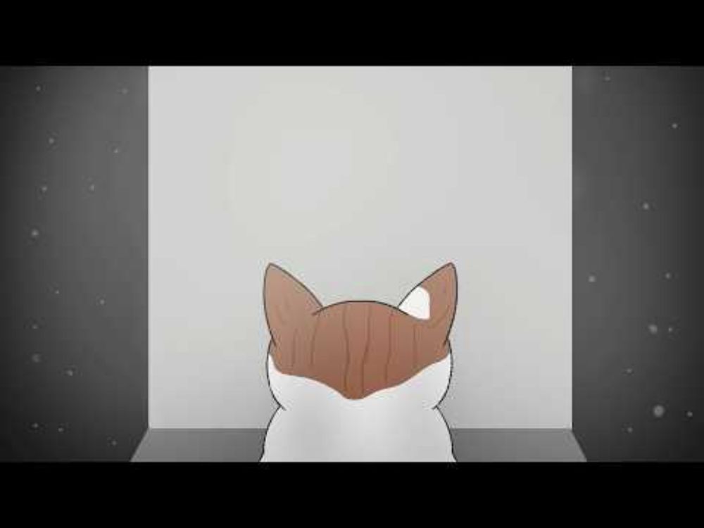 Dexter | Poem Animatic