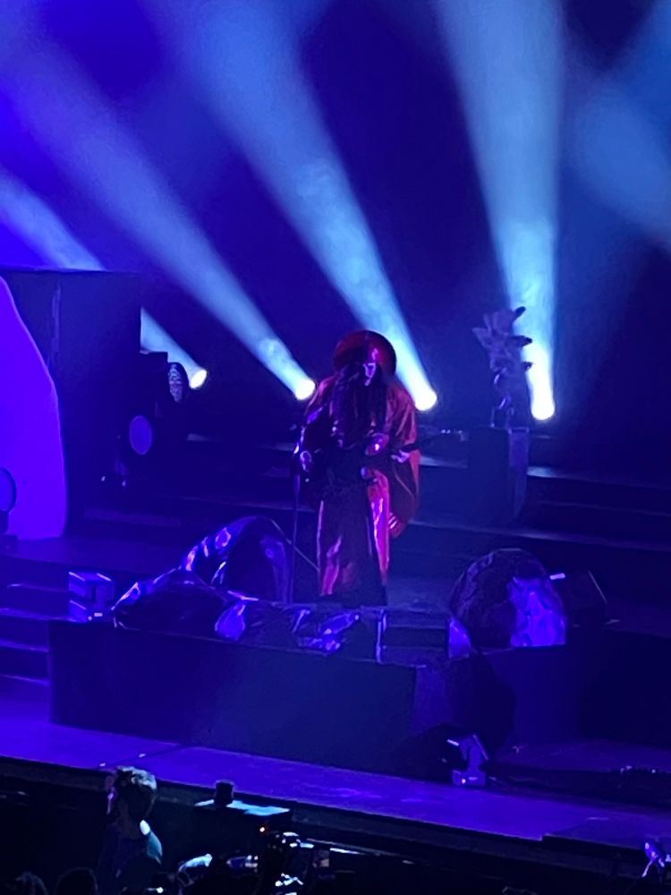 Low light picture of Luke Steele performing.