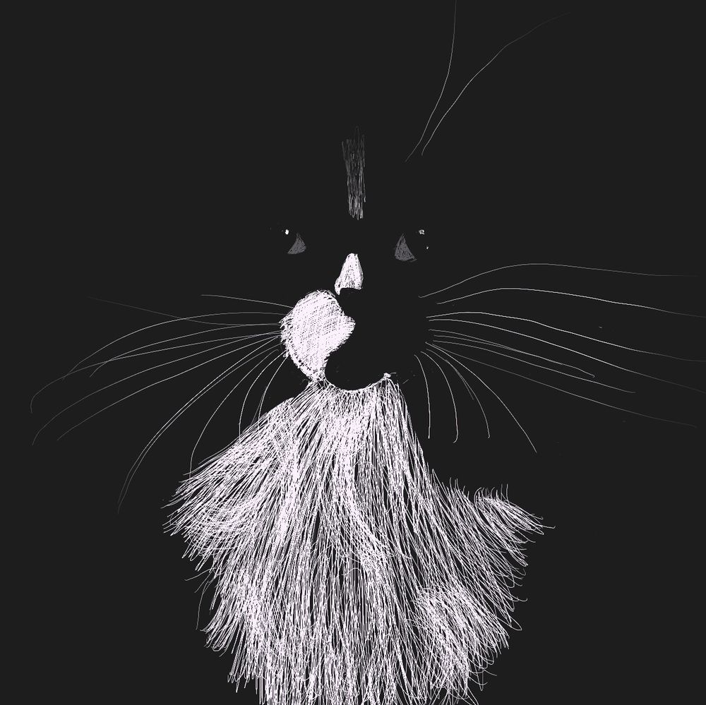 tuxedo cat drawing, white on dark background