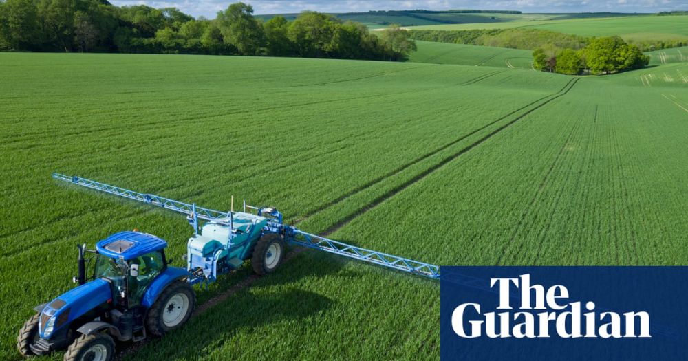 Revealed: Far higher pesticide residues allowed on food since Brexit