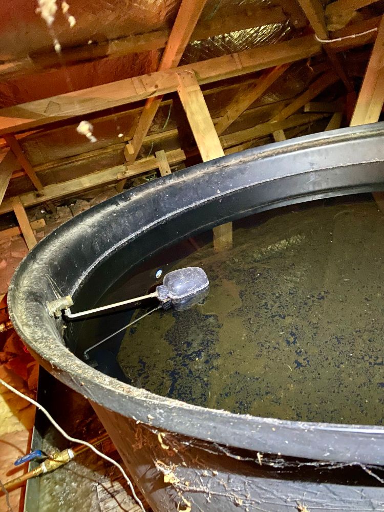 Large black plastic stock trough full of water with a float valve. Rafters and sisalation in the background