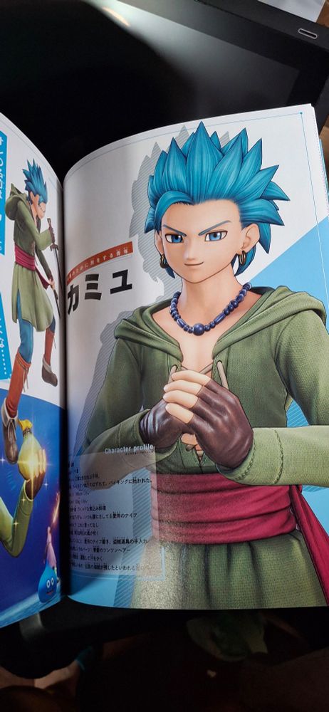 Picture of Erik in the character book.