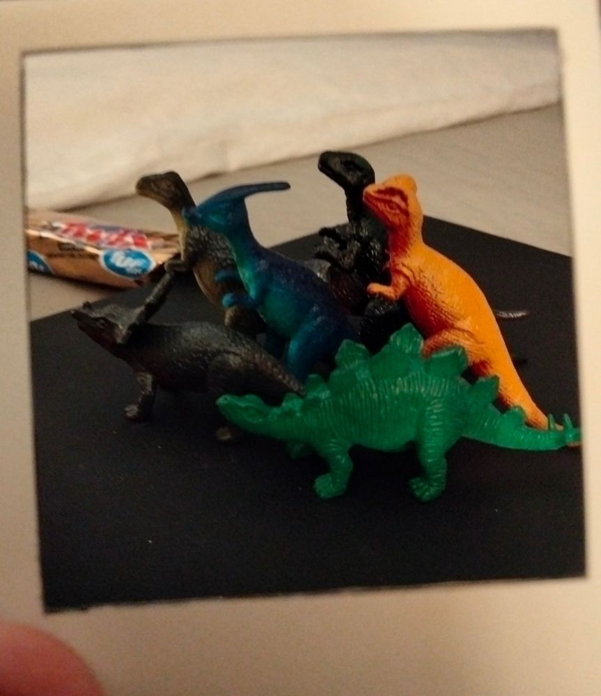 A second picture of me holding the Polaroid in front of the plastic mini toy dinosaurs.
