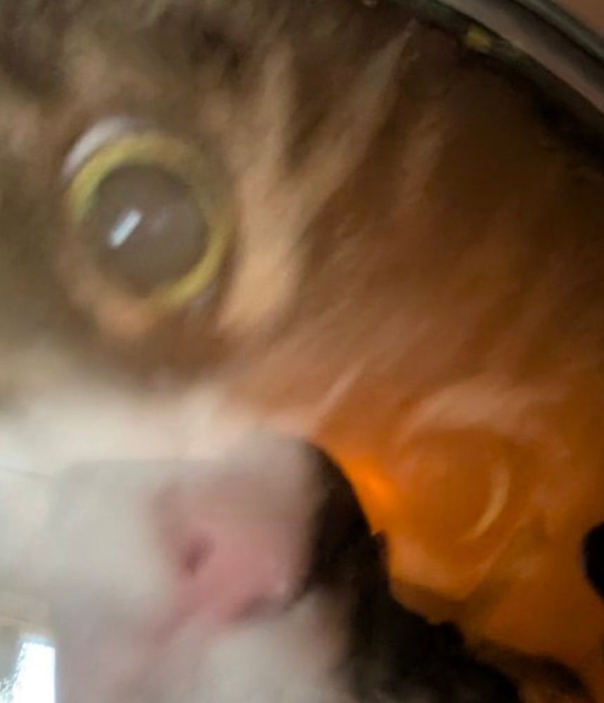 Extreme close-up of Missy's face with only her eyes and a bit of her nose in the screenshot. 