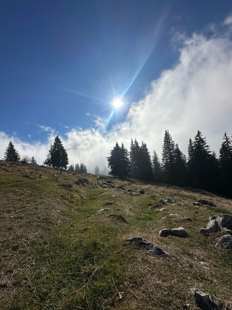 quick break while on a hike
