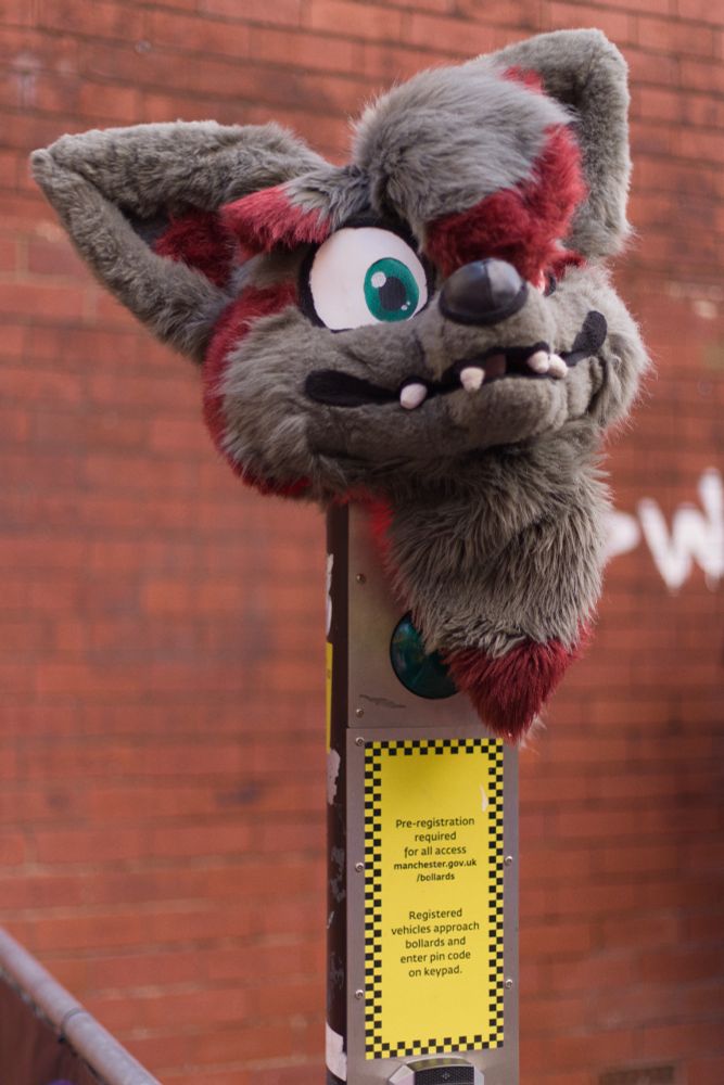A fursuit head is left to rest on an automated bollard sensor.
