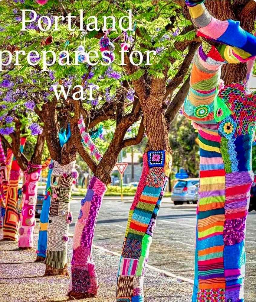 Photo of trees which were “yarn bombed” by colorful patches of knitted squares wrapped around their trunks. 