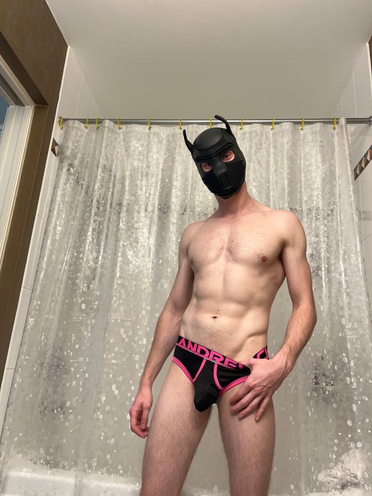 A gay male model standing in a bathroom in front of a sparkly shower curtain, wearing a black puppy hood and pink Andrew Christian briefs. He has a slim, athletic body, with well-defined abs and Adonis belt. with one hand resting near their waistband, adding a playful and seductive touch to the pose.