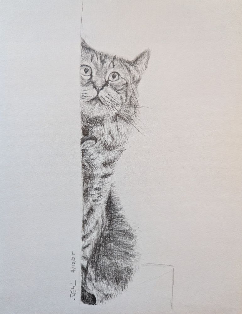 A pencil drawing of a tabby cat peeking from behind a wall.