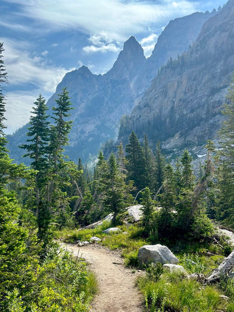 Jagged ridge line of the Tetons, seen in the background of a verdant hiking path