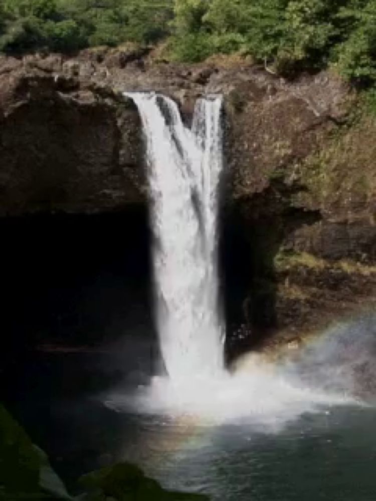 a waterfall in the middle of a forest with a rainbow