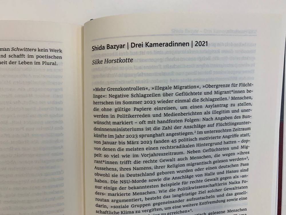 Shida Bazyar: Drei Kameradinnen 