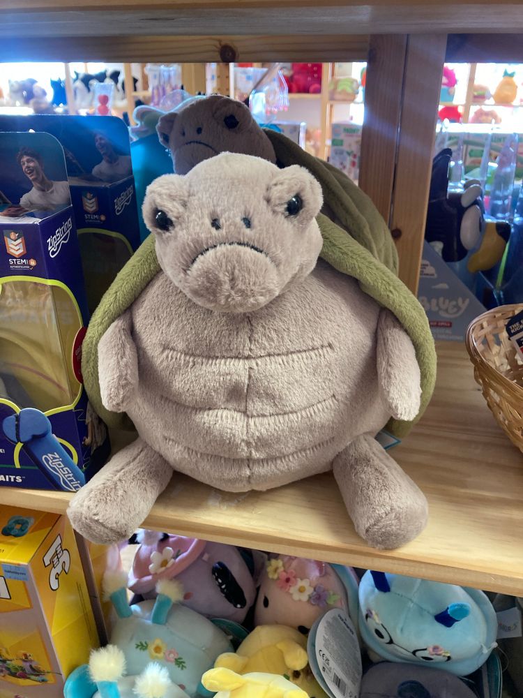 A grumpy stuffed turtle at Hub Hobby in Richfield 