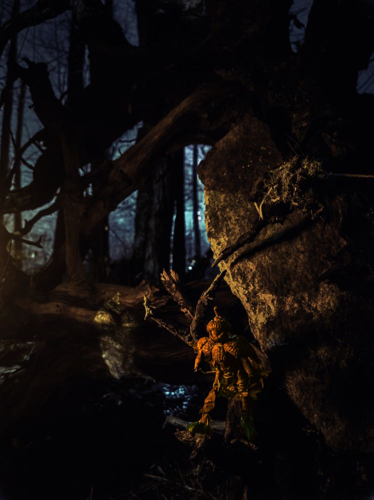 As the day passes, the little Acorn leaps from log to log, his spirit as light and nimble as a squirrel, as his heart beams with hope and adventure.
