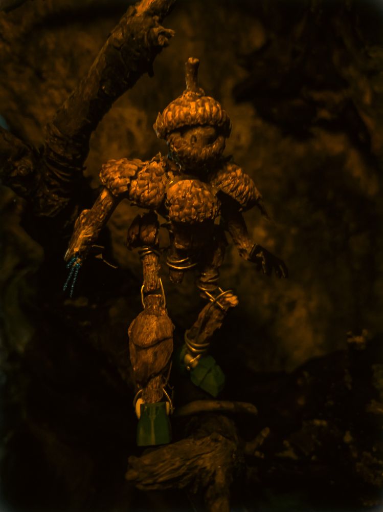 In the heart of the whispering woods, Quercus, the watchful guardian, stands tall. Despite his short stature, his gaze is fixed on the ancient trees, which holds secrets waiting to be discovered.