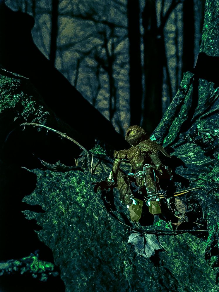 Bathed in moonlight, Quercus sits on the edge of a towering tree, and as he gazes up at the canopy of leaves, moonlight filtering through the branches, a sense of peace surrounds him.
