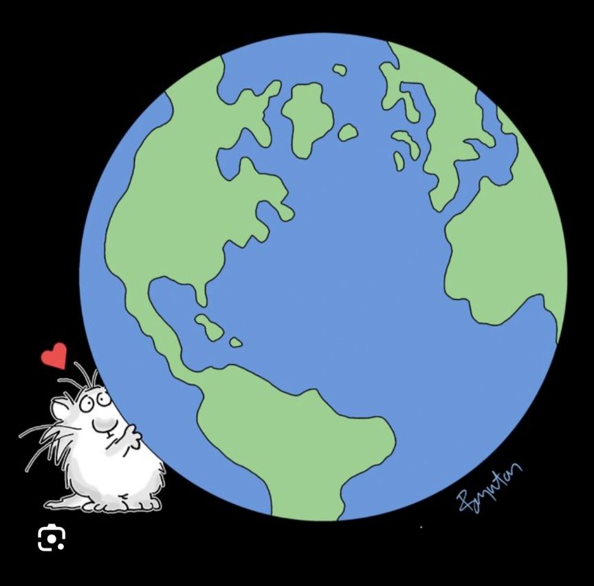 Comment image