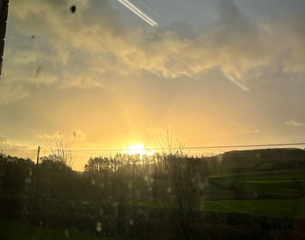 Sunrise behind a small copse of bare trees. Faint clouds high in the sky.