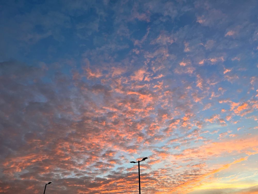 High light spotted clouds, tinged with the pink light of the setting sun. Blue sky behind.