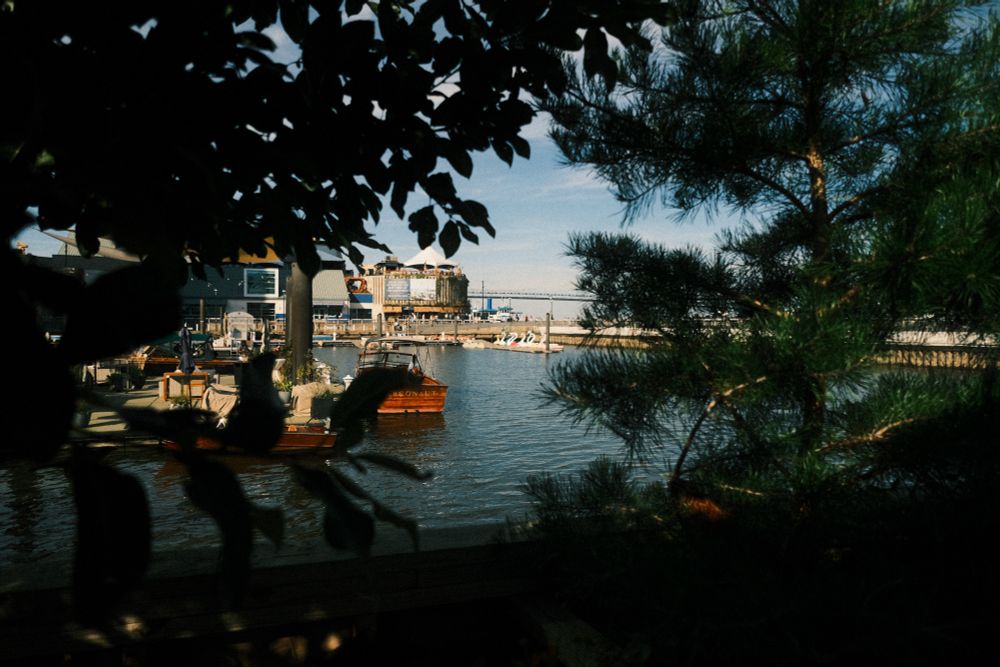 A view of swan, duck and flamingo boats on the Delaware River at Spruce Street Harbor Park