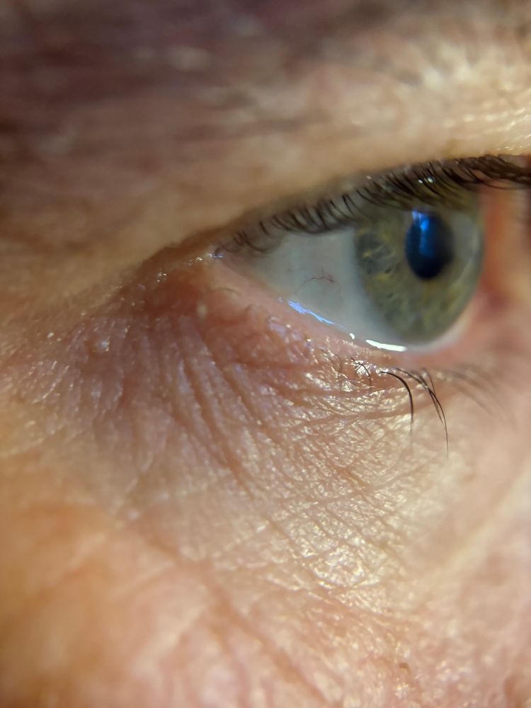 Un œil et le tour de l’œil marqué par quelques rides, signe d’un temps qui passe