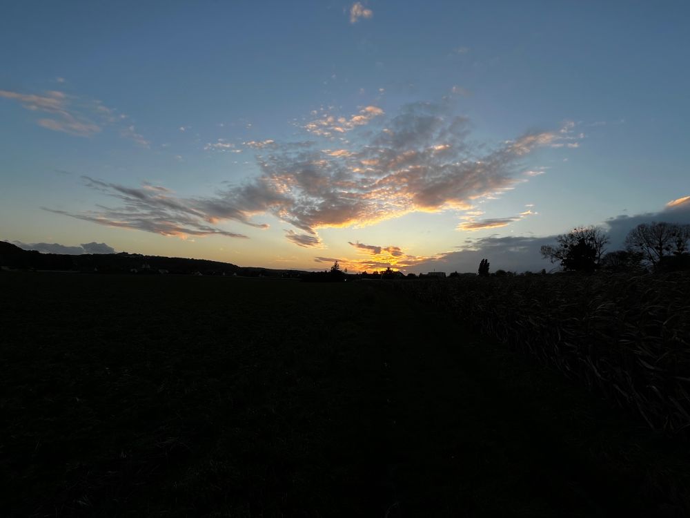 Nuage en forme de dragon au coucher du soleil.
Photo grand angle 