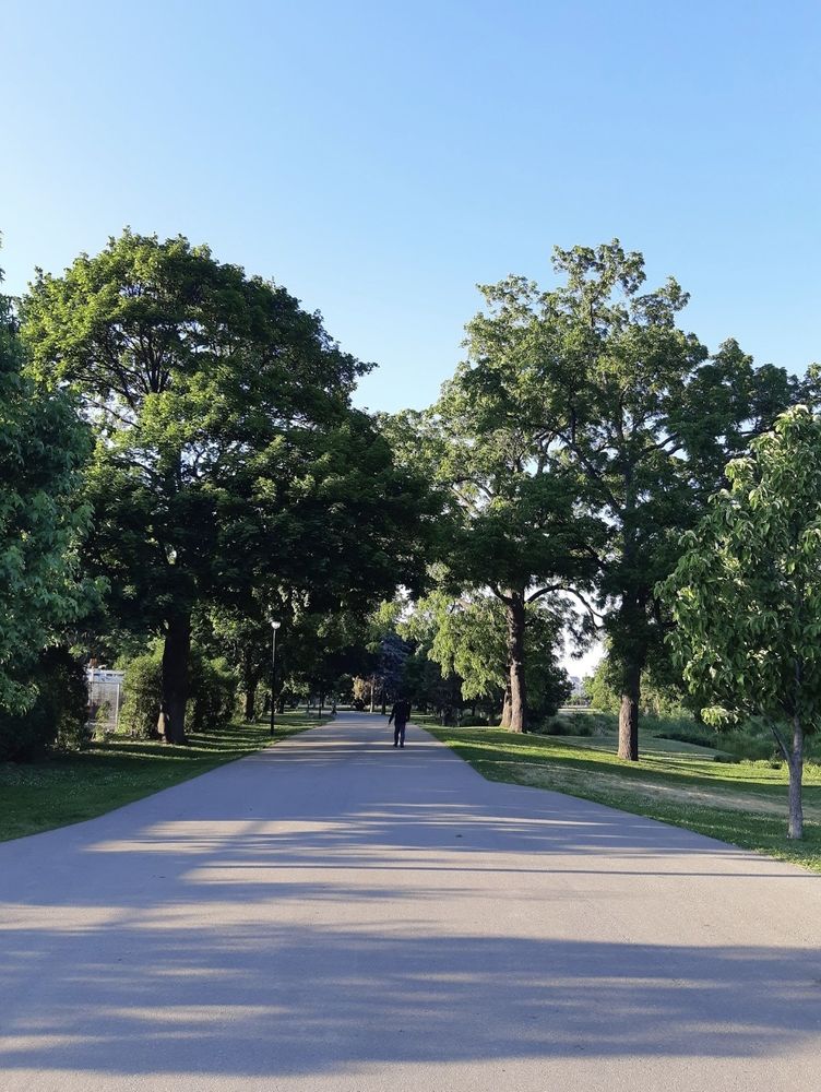Gage Park in Hamilton, Ontario. Wide multi use path lined with mature trees